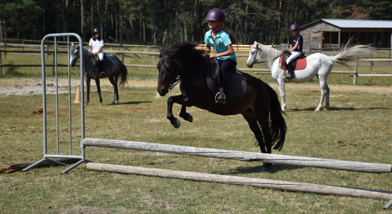 STAGE D'EQUITATION GALOP - 12/17 ANS-1 